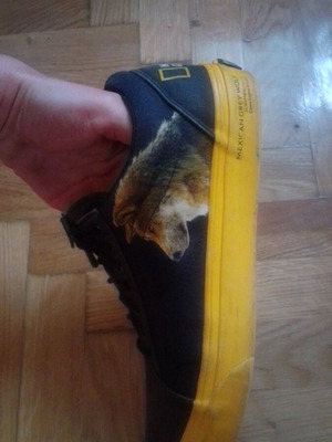 Vans National Geographic sneakers size 8.5 like new