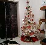 Christmas tree used, white