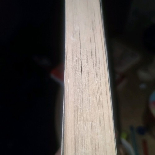 Lady Chatterley's Lover used novel by D.H. Lawrence