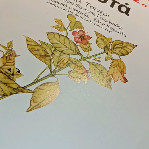 Plants used color thematic encyclopedia “Our World”