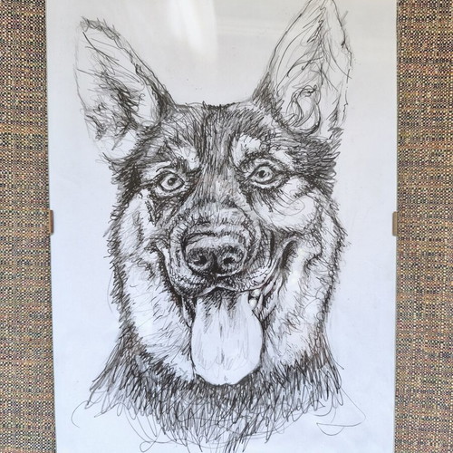 Handmade German Shepherd Drawing in Clip Frame, New