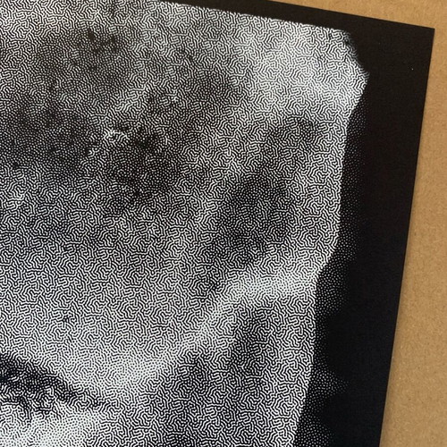 Silkprint screen print Adam new, numbered edition