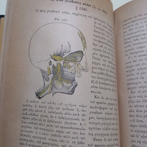 Anatomy of Man by Loukas Papaioannou Volume C used