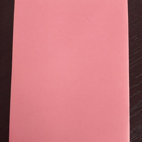 Lets Kiss A5 pink notebook with golden hedgehogs