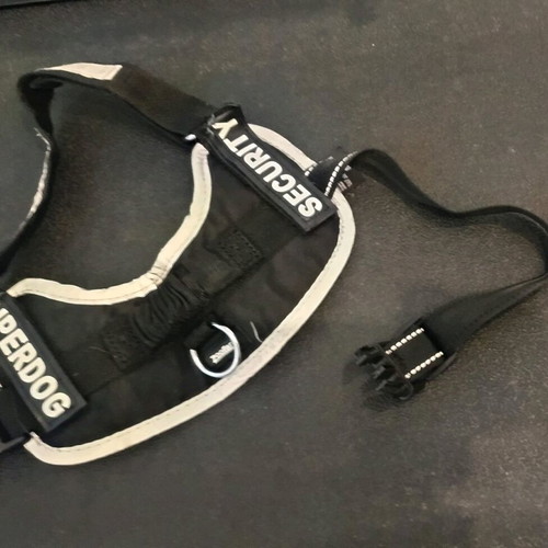 Pet set 4 cat and dog accessories like new