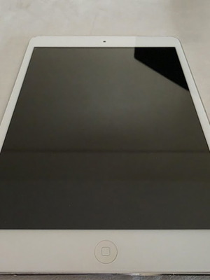 iPad mini Wi-Fi tablet with screen lines