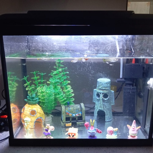 HS Aqua Platy 30 Led Aquarium 30 Liters Like New, Black