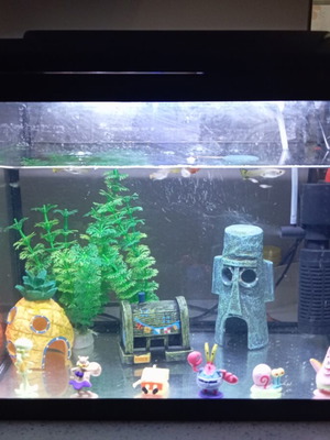 HS Aqua Platy 30 Led Aquarium 30 Liters Like New, Black