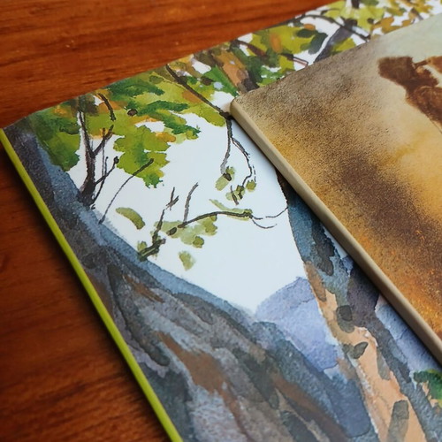 Pack of illustrated children's books Tom Sawyer and Robinson Crusoe used