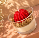 Handmade soy candle cactus scented