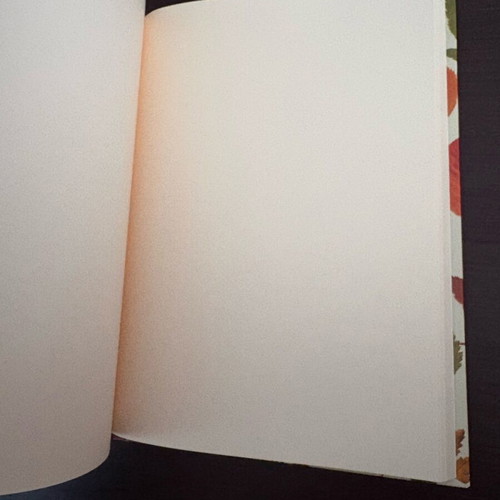 Neochart notebook like new with hardcover and leaf designs