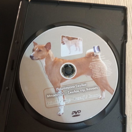 Primitive Dogs DVD dubbed like new