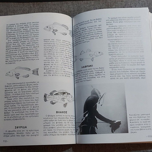 Spearfishing and Its Secrets Like New