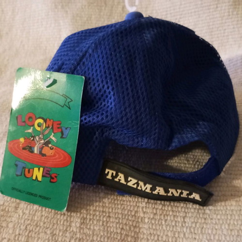 Tazmania Looney Tunes hat for boys, new, 100% cotton
