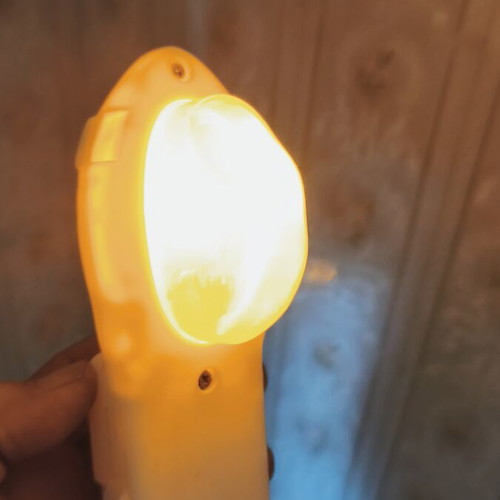 Fisher Price light-up sea horse toy with sound