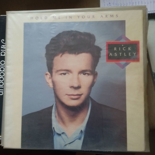 Rick Astley Hold Me In Your Arms vinyl used, Pop