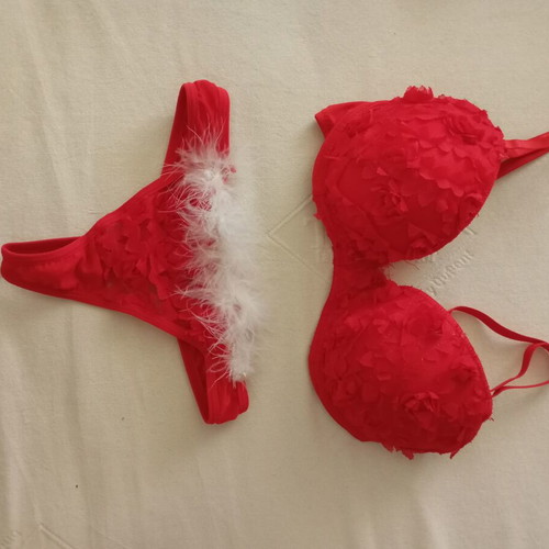 Red underwear set