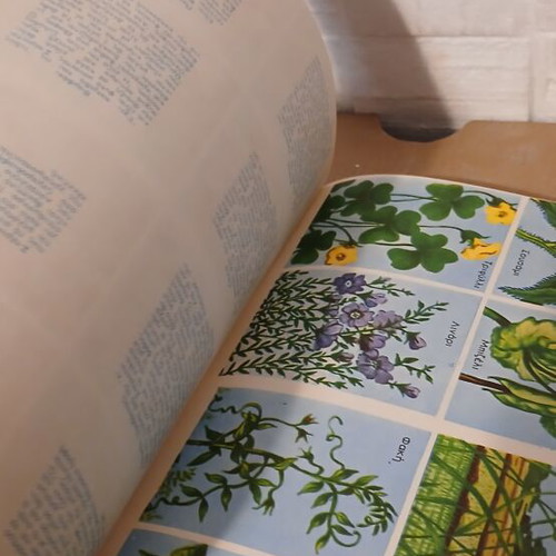 Natural History books used, pack of 2, animals and plants
