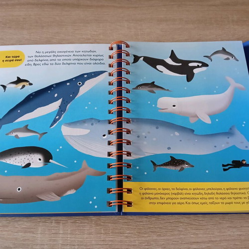 The Sea – My First Questions children's book like new