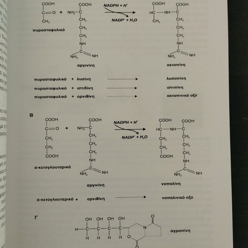 Plant biotechnology new, Polydefkis Chatzopoulos