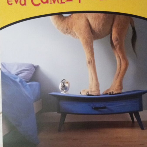 Camel Collectible Large Advertising Poster 90s New 67x47 cm