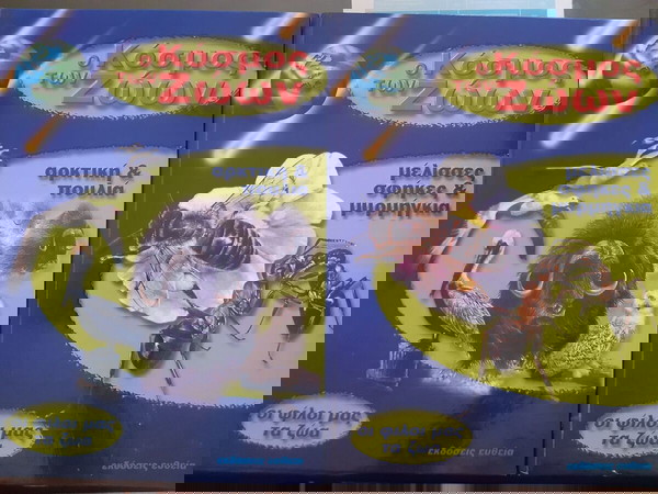 2 τ. Ο κόσμος των ζώων. Αρκτική και πουλιά + μέλισσες και μυρμήγκια