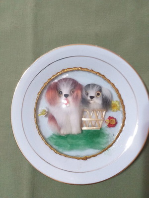 Vintage decorative plate used