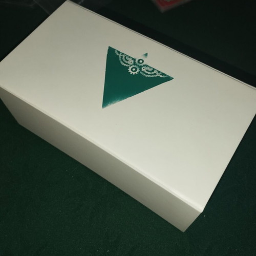 Aeon Trespass Lost Tome 3D printed mini insert custom made