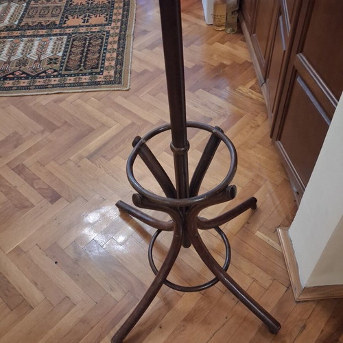 Viennese coat rack made of solid beech wood