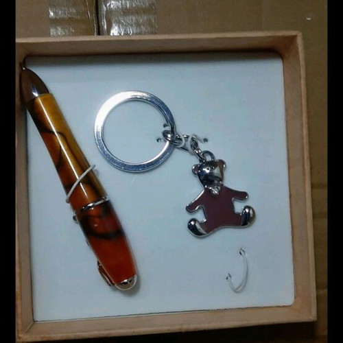 Keychain and pen set new