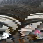  ζαντολάστιχα τεσσάρων εποχών