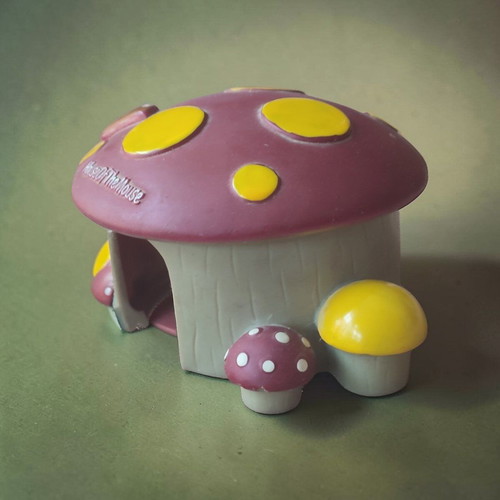 Hamster house new