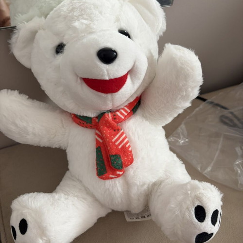 Goodys teddy bear new