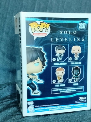 Solo Learning Sung Jinwoo figure new in hard protector