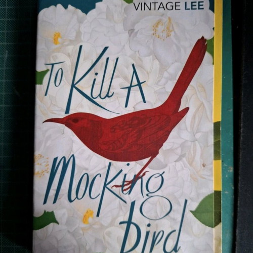Book To Kill a Mocking Bird used, English
