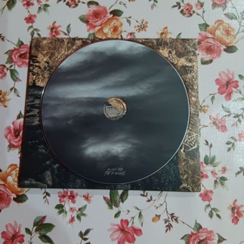 Esben and the Witch Nowhere CD like new, post metal
