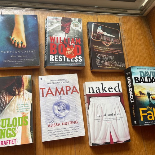Set of 7 used English books with bonus The Fallen by David Baldacci