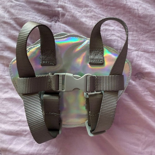 Shell bag for small dog like new