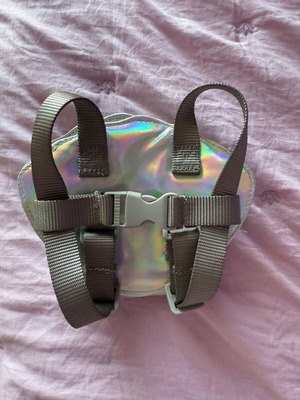 Shell bag for small dog like new