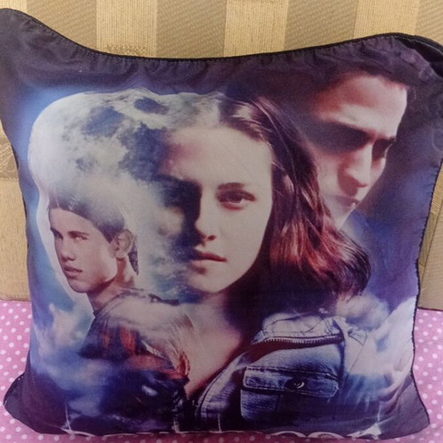 New Moon pillowcase and pillow like new
