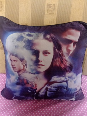 New Moon pillowcase and pillow like new