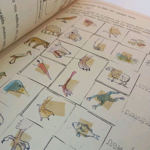 Emeis kai o Kosmos Third Grade Workbook used