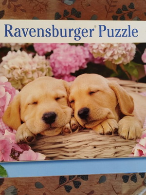 Puzzle 300 pieces with puppies like new