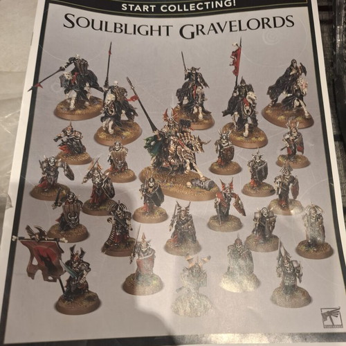 Warhammer Soulblight Gravelords miniatures used, missing some parts