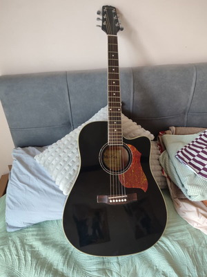 Black Acoustic Guitar Billy Ray TD-107CBK like new