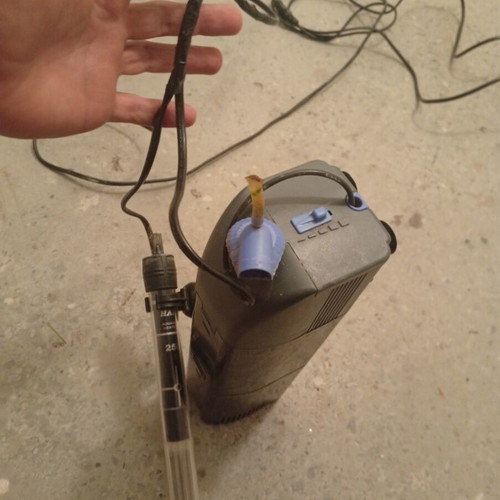 Aquarium internal filter and thermostat used, working perfectly