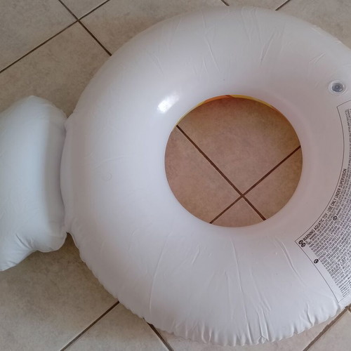 Inflatable Pineapple Swim Ring and Used Foot Pump