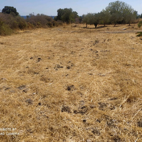 Agricultural land 2.5 acres with 28 sqm caravan in Vatera Lesvos