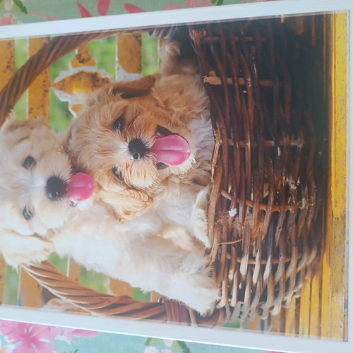Puzzle 500 pieces new in original packaging