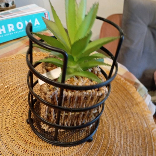 Decorative plant in seaweed new, together